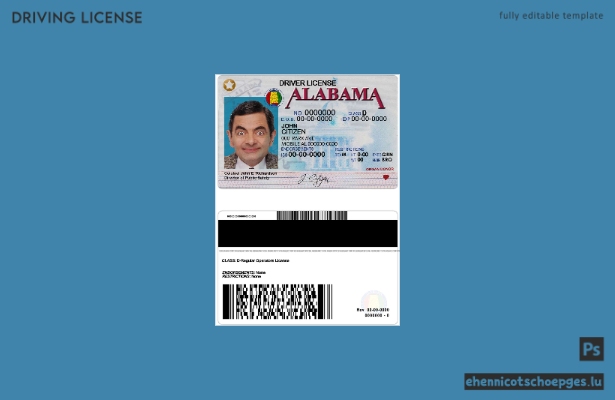 USA Alabama Führerschein Beispielvorschau